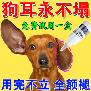 狗狗立耳神器立耳营养液杜宾犬柯基德牧幼犬专用立耳贴竖耳辅助器
