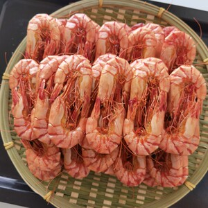 福建东山岛烤虾干 即食斑节虾干 中小九节虾干 58—66只左右/斤