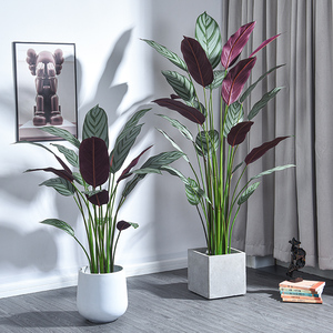 仿真绿植飞羽竹芋北欧风家居客厅摆放服装店装饰商场造景仿生盆栽