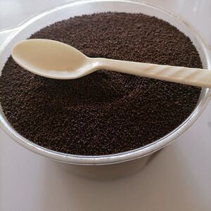 顺丰包邮1斤装鲟鱼专用沉底高蛋白饲料