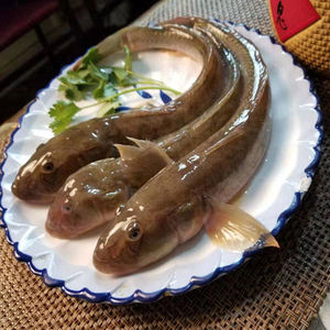 当天野生鲜活海鲶鱼新鲜海捕海占鱼冷冻超大海光鱼胖头鱼0人付款28