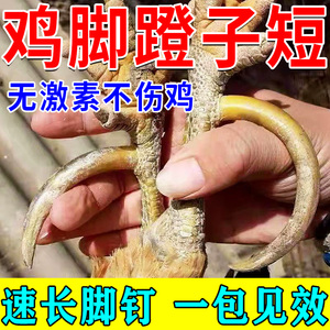 特快脚钉王鸡用长脚钉土鸡长脚蹬子长飞爪禽用脚钉宝益生素蹬爪王