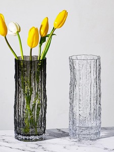 现代简约玻璃花瓶客厅鲜花ins风网红极冻花瓶高级感桌面插花摆件