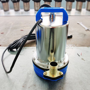 12v24v48v72v96v直流潜水泵电动车电瓶专用水泵浇菜抽水船用灌溉