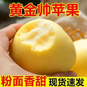 黄元帅苹果新鲜黄金帅宝宝吃10斤整箱黄香蕉应季粉面沙甜奶油水果