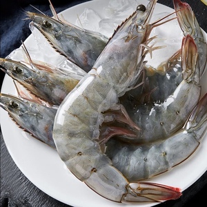新鲜速冻红尾虾 一斤十五只以内 虾现场挑选称重可选五斤十斤