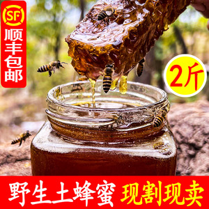 蜂蜜纯正天然木桶土蜂蜜农家自产秦岭正宗野生成熟原蜜正品礼盒