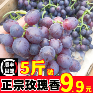 正宗玫瑰香葡萄提子整箱新鲜红提孕妇水果现摘现发5斤顺丰包邮