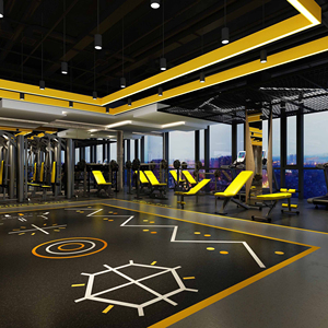 健身房地胶地垫360私教图案专业定制少儿体适能地胶pvc塑胶地板