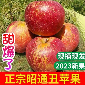 云南昭通市冰糖心丑苹果水果新鲜10斤整箱包邮送礼自然熟红富士