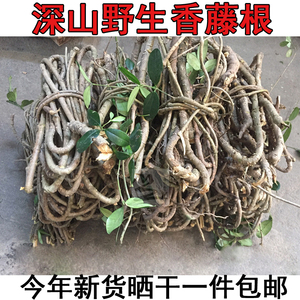 客家香藤根春根藤煲汤料过山香香藤子根满山香瓜子藤风藤子下岭凤
