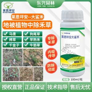 莱恩坪安大鲨禾尖叶竞除草剂元林植物石楠杜鹃黄杨女贞除尖叶杂草