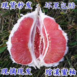 福建红心柚子水果三红新鲜现摘特产漳州10斤当季平和红肉蜜柚管溪