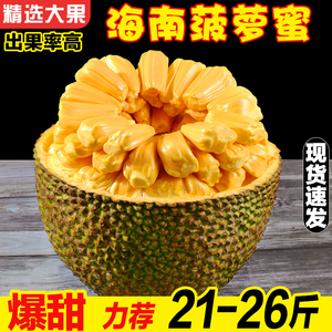 海南三亚黄肉菠萝蜜当季新鲜热带孕妇水果一整个木波罗果包邮特产