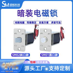 SM01小型暗装DC5V12V24V嵌入式电磁锁电磁插销电插锁箱柜电控锁