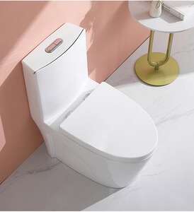 新款墙排直冲大口径马桶家用小户型防臭防堵直排节水静音坐便器