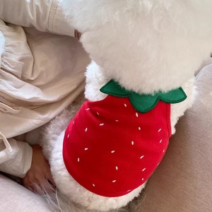 韩版ins草莓吊带小狗狗衣服夏季薄款宠物泰迪比熊猫咪小型犬夏天