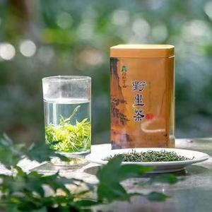2024新茶上市 浙江武义汤记高山野茶50g罐装  荒野绿茶