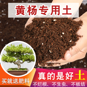 黄杨专用土花木营养土养花专用通用花土种花专用的营养泥土种植土