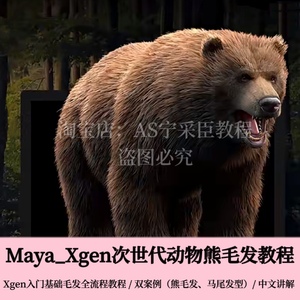 Maya/Xgen教程次世代影视动物熊毛发角色发型制作全流程入门课程