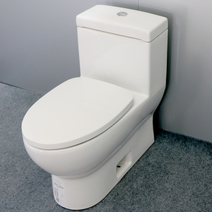 德国唯宝萨泊威6616as01连体式坐便器马桶带缓降盖可搭配智能盖板