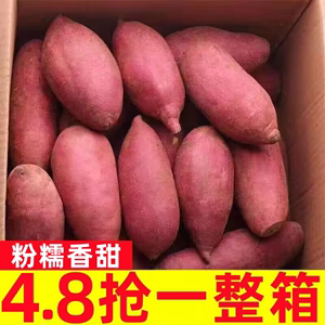 板栗蜜薯10斤新鲜红薯农家自种西瓜红糖心地瓜山东烟薯番薯小香薯