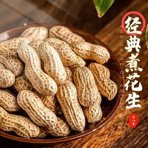 451人付款天猫农家带壳水煮花生天然晒干 咸干原味散装 咸花生四川