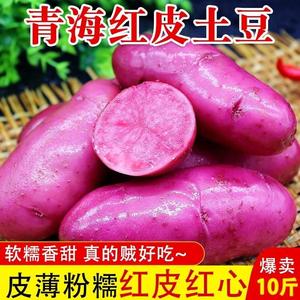 青海新鲜现挖红皮红心土豆2两以上大果红玫瑰红心洋芋富含花青素