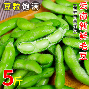 云南新鲜毛豆现摘带壳5斤装包邮时令蔬菜豆荚整箱豆子豆香浓郁