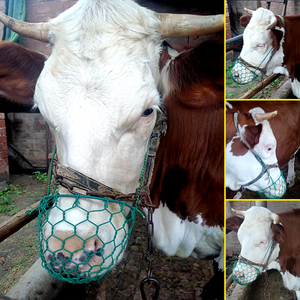 牛嘴笼罩马嘴笼套小牛犊断奶笼牛马防咬防偷吃神器牛兜嘴牛箍嘴套