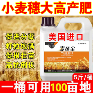 麦黄金小麦高产叶面肥增产套餐增收促进分蘖抗倒伏小麦专用水溶肥