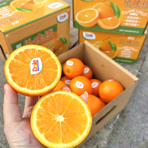 当季优选】都乐伦晚橙dole原箱8斤礼盒甜橙子晚熟脐橙水果新鲜