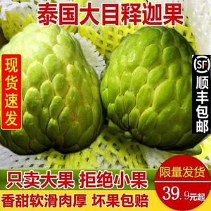 泰国品种大目凤梨释迦果5斤 新鲜番荔枝佛头果热带水果大果孕妇