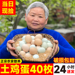 野山鸡蛋新鲜一箱笨鸡蛋40枚正宗农家散养土鸡蛋草鸡蛋谷物柴鸡蛋