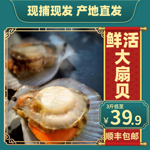 新鲜特大扇贝鲜活超大冷冻小红贝港湾贝烧烤食材贝类海鲜水产商用
