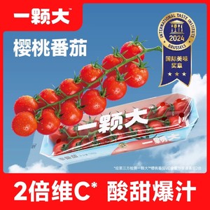 【朱丹推荐】一颗大串番茄串收红樱桃番茄小西红柿水果生吃