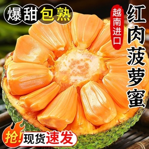 正宗红肉菠萝蜜一整个越南进口新鲜红心菠萝蜜泰国当季水果木菠萝