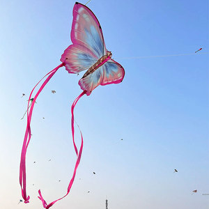 风筝成人专用大型微风易飞儿童卡通轮线套装新款网红蝴蝶潍坊风筝