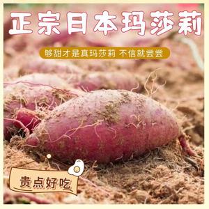 正宗板栗红薯农家新鲜自种日本玛丽莎番薯超甜10斤沙地烤密薯糖心
