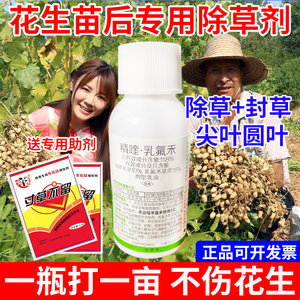 花生苗后专用除草剂花生除草不伤花生精喹禾灵乳氟禾草灵除草烂根