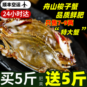 梭子蟹鲜活大超大特大海螃蟹母蟹公蟹红膏蟹舟山飞蟹海鲜水产