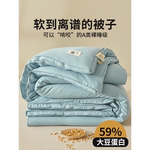 日本MUJIEA类59%大豆纤维被子春秋被芯全棉纯棉冬被冬季丝绵3斤4