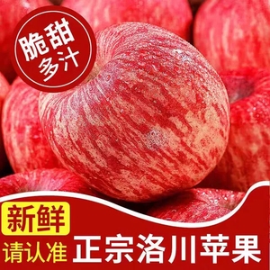 2022新果陕西西安洛川苹果正宗新鲜水果产地直发直销10