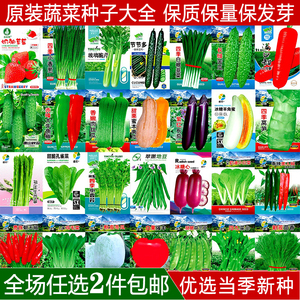 蔬菜种子四季播种阳台盆栽庭院香菜菠菜葱白菜萝卜蔬菜籽种孑大全