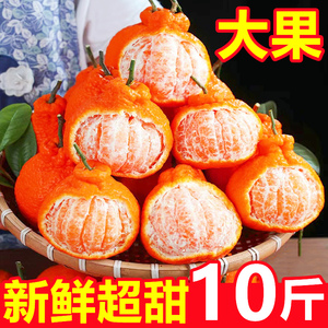 四川不知火丑橘10斤新鲜水果大果超甜耙5耙柑桔丑八怪柑橘子整箱