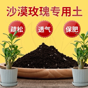 沙漠玫瑰花专用土