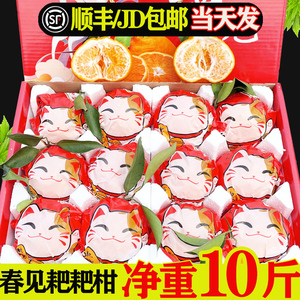 【顺丰包邮】四川春见耙耙柑10斤新鲜水果粑粑柑桔子孕妇橘子整箱