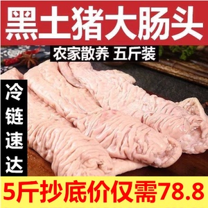 新鲜猪大肠头带箱5斤生肠头干净少油猪肠散养免洗大肠冷冻商用