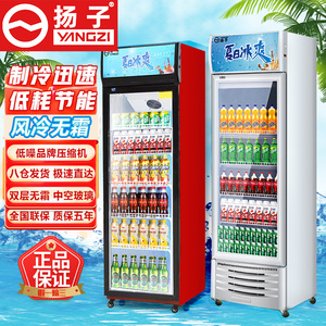 扬子饮料展示柜冷藏单门啤酒玻璃保鲜柜立式冰柜冷饮商用冰箱
