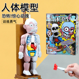 电动创意人体模型恐怖内脏骨骼拼装骷髅吓人恶搞整蛊神器儿童玩具